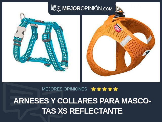 Arneses y collares para mascotas XS Reflectante