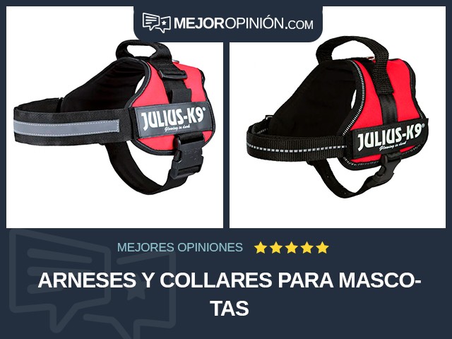 Arneses y collares para mascotas