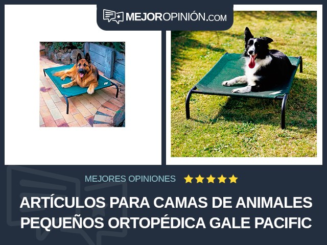 Artículos para camas de animales pequeños Ortopédica Gale Pacific