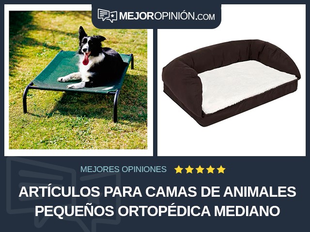 Artículos para camas de animales pequeños Ortopédica Mediano
