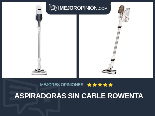 Aspiradoras Sin cable Rowenta