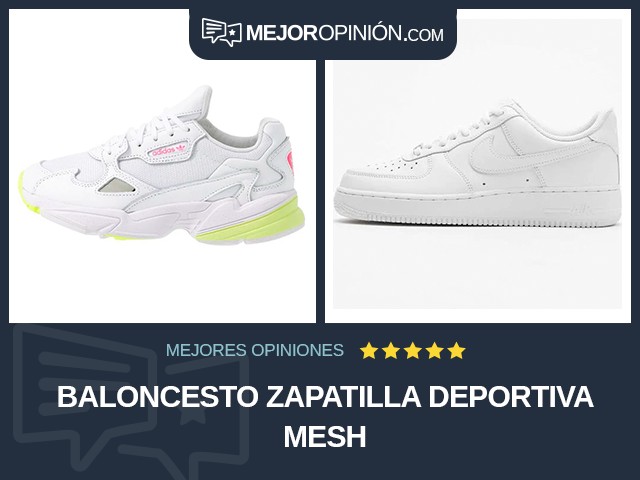 Baloncesto Zapatilla deportiva Mesh