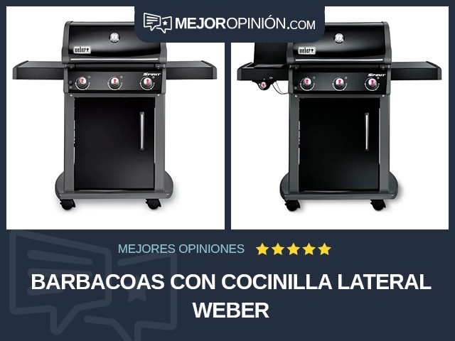 Barbacoas Con cocinilla lateral Weber