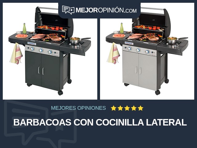 Barbacoas Con cocinilla lateral