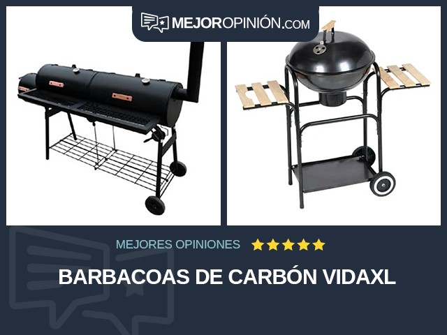 Barbacoas De carbón vidaXL