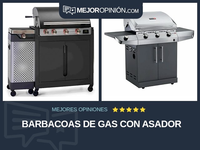 Barbacoas De gas Con asador