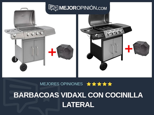 Barbacoas vidaXL Con cocinilla lateral