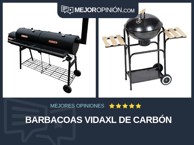 Barbacoas vidaXL De carbón