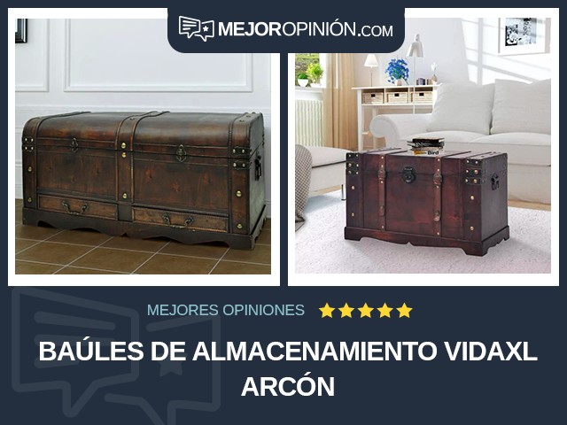 Baúles de almacenamiento vidaXL Arcón