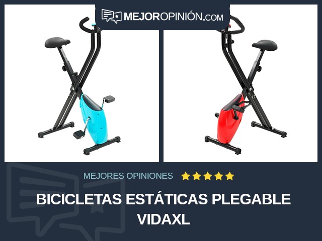 Bicicletas estáticas Plegable vidaXL