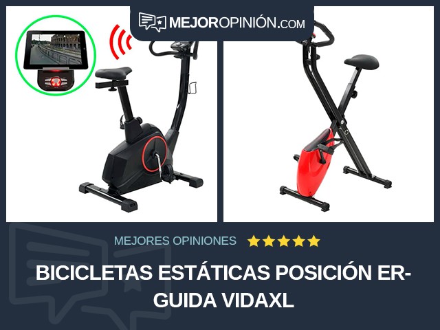 Bicicletas estáticas Posición erguida vidaXL