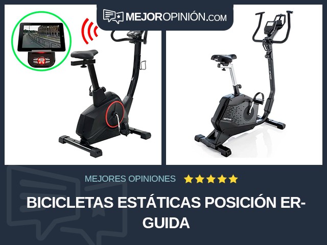 Bicicletas estáticas Posición erguida