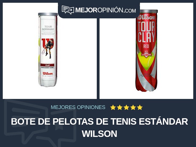 Bote de pelotas de tenis Estándar Wilson