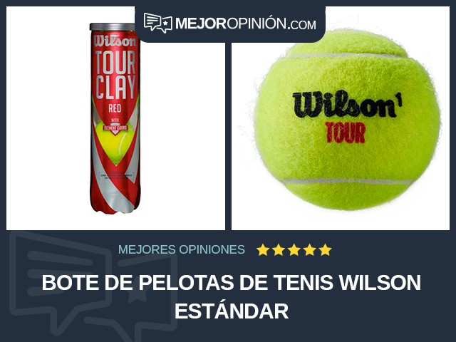 Bote de pelotas de tenis Wilson Estándar