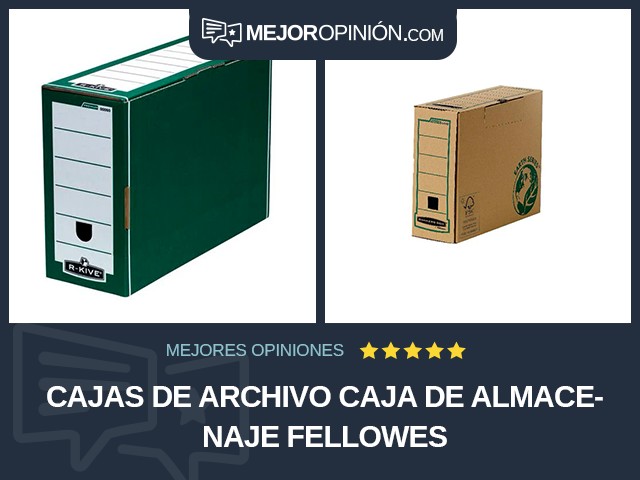 Cajas de archivo Caja de almacenaje Fellowes
