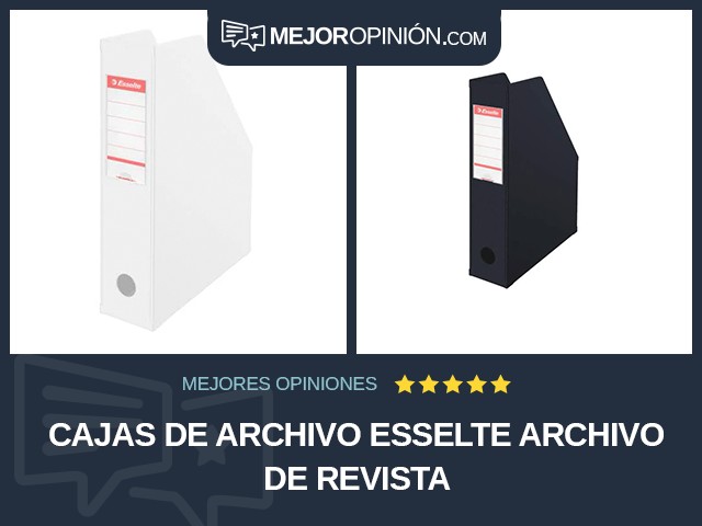 Cajas de archivo Esselte Archivo de revista