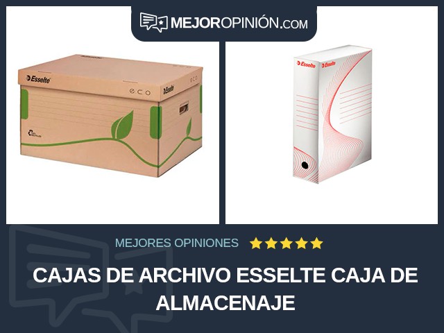 Cajas de archivo Esselte Caja de almacenaje