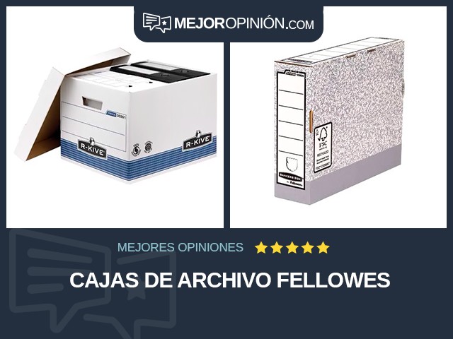 Cajas de archivo Fellowes