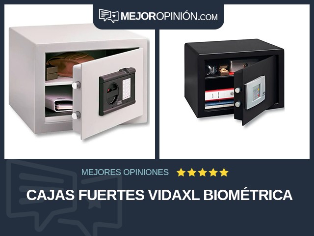 Cajas fuertes vidaXL Biométrica