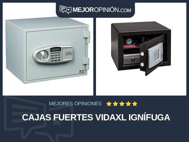 Cajas fuertes vidaXL Ignífuga