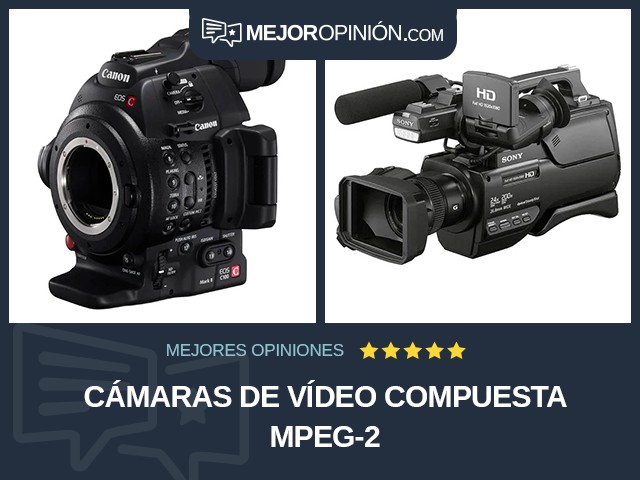 Cámaras de vídeo Compuesta MPEG-2