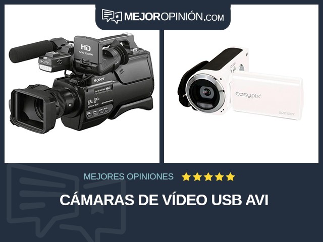 Cámaras de vídeo USB AVI