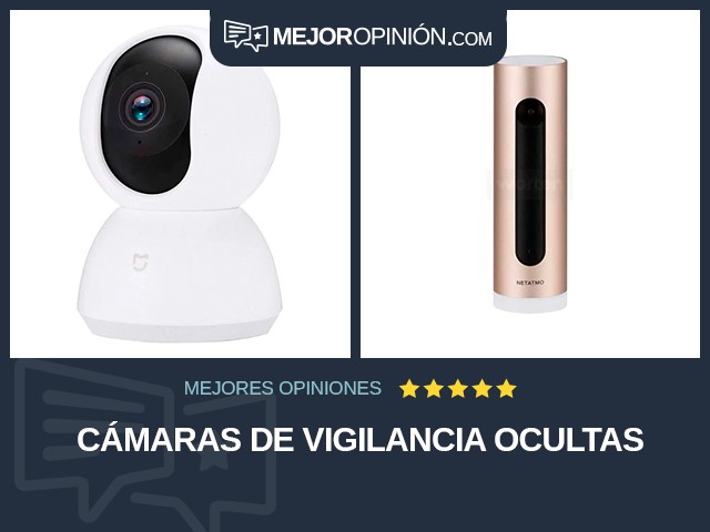 Cámaras de vigilancia ocultas