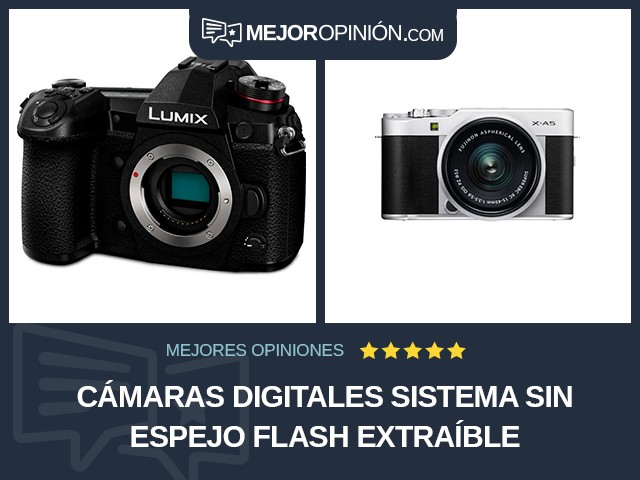 Cámaras digitales Sistema sin espejo Flash extraíble