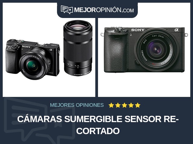 Cámaras Sumergible Sensor recortado