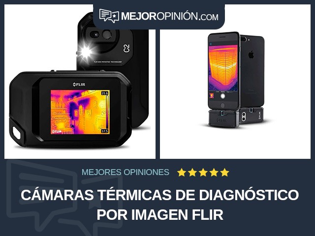 Cámaras térmicas de diagnóstico por imagen FLIR