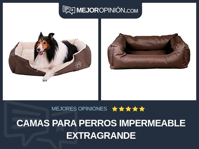 Camas para perros Impermeable Extragrande