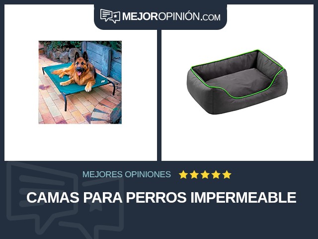 Camas para perros Impermeable