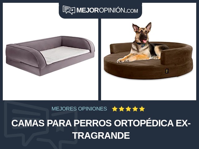 Camas para perros Ortopédica Extragrande