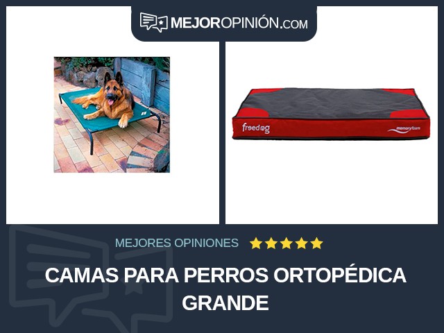 Camas para perros Ortopédica Grande