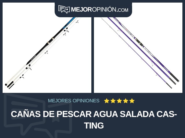 Cañas de pescar Agua salada Casting