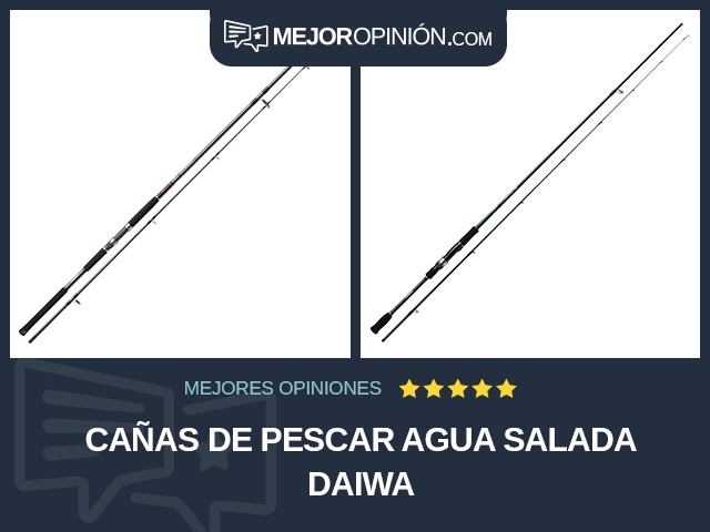 Cañas de pescar Agua salada Daiwa