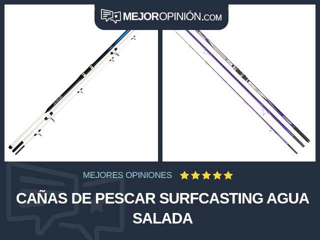 Cañas de pescar Surfcasting Agua salada