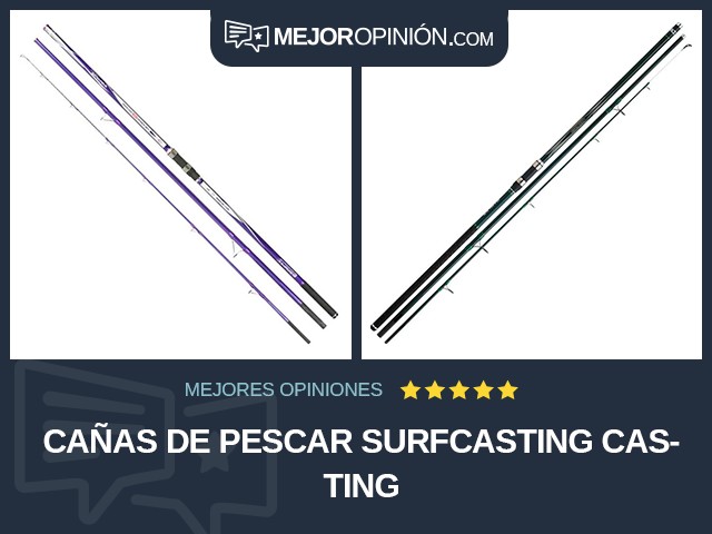 Cañas de pescar Surfcasting Casting