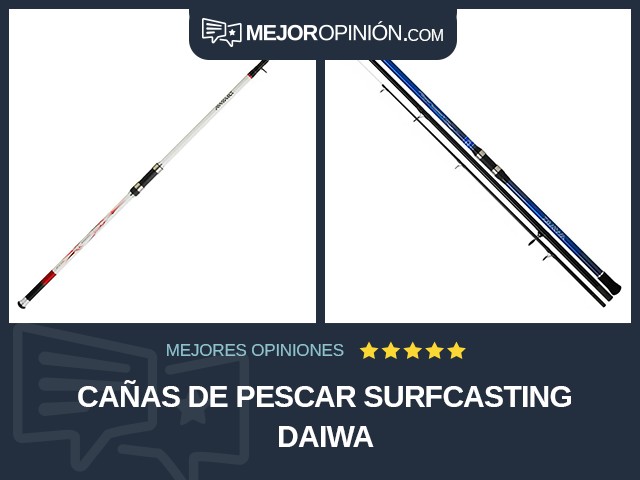 Cañas de pescar Surfcasting Daiwa