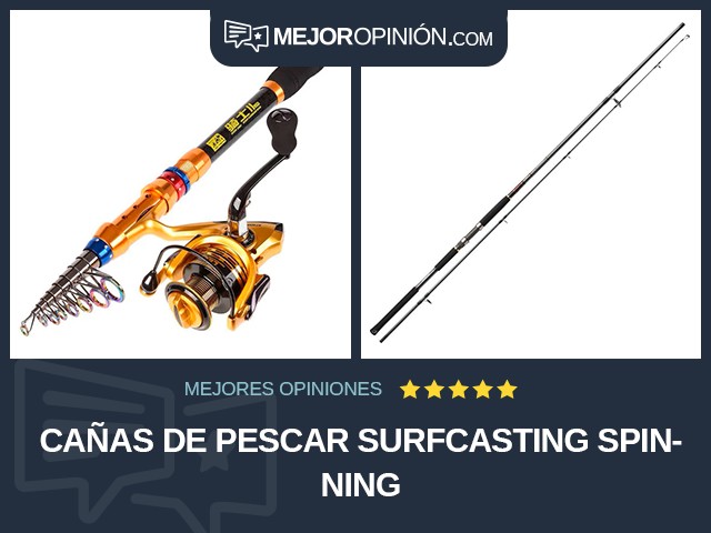 Cañas de pescar Surfcasting Spinning