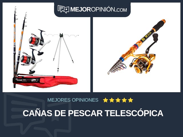 Cañas de pescar Telescópica