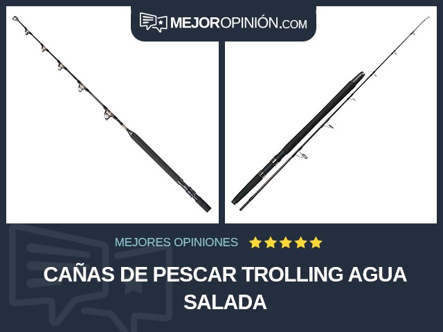 Cañas de pescar Trolling Agua salada