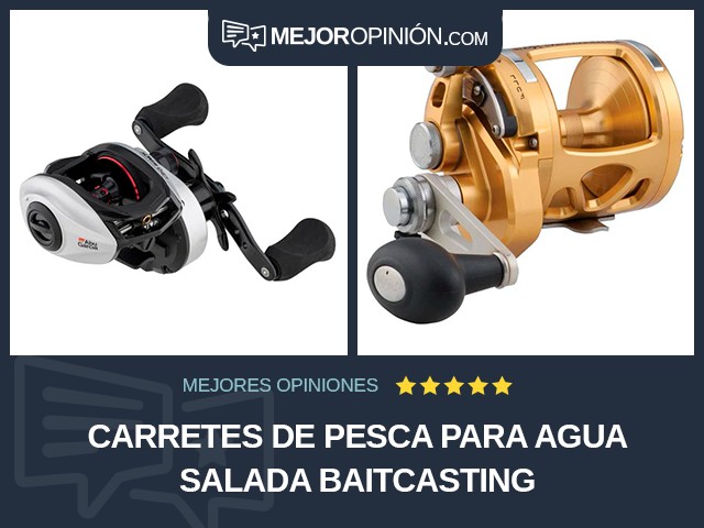 Carretes de pesca Para agua salada Baitcasting