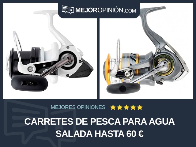 Carretes de pesca Para agua salada Hasta 60 €