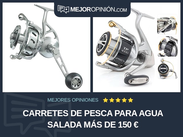 Carretes de pesca Para agua salada Más de 150 €