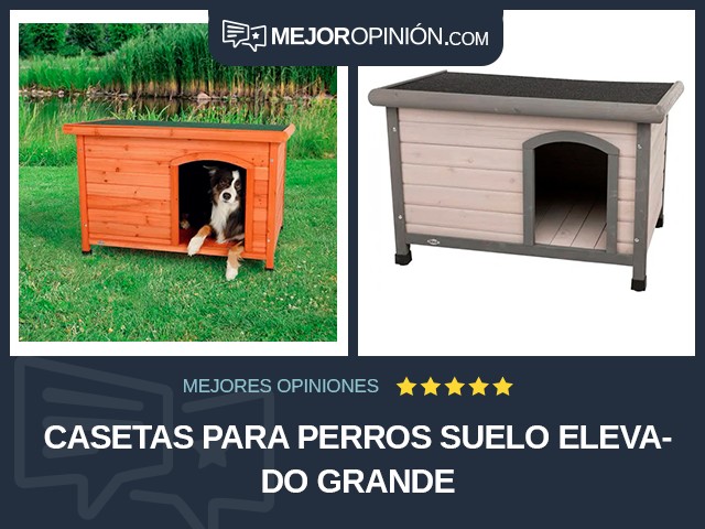 Casetas para perros Suelo elevado Grande