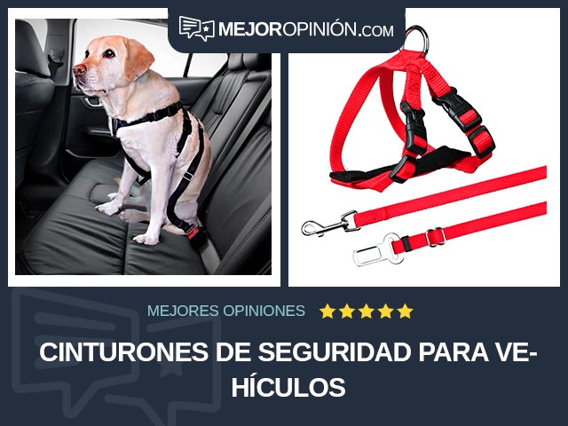 Cinturones de seguridad para vehículos