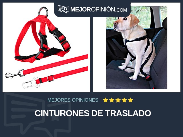 Cinturones de traslado