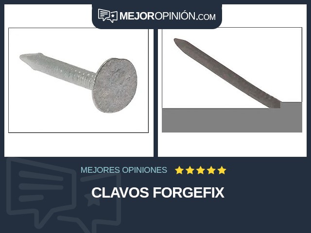 Clavos ForgeFix