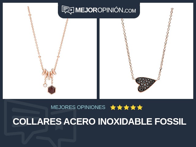 Collares Acero inoxidable Fossil